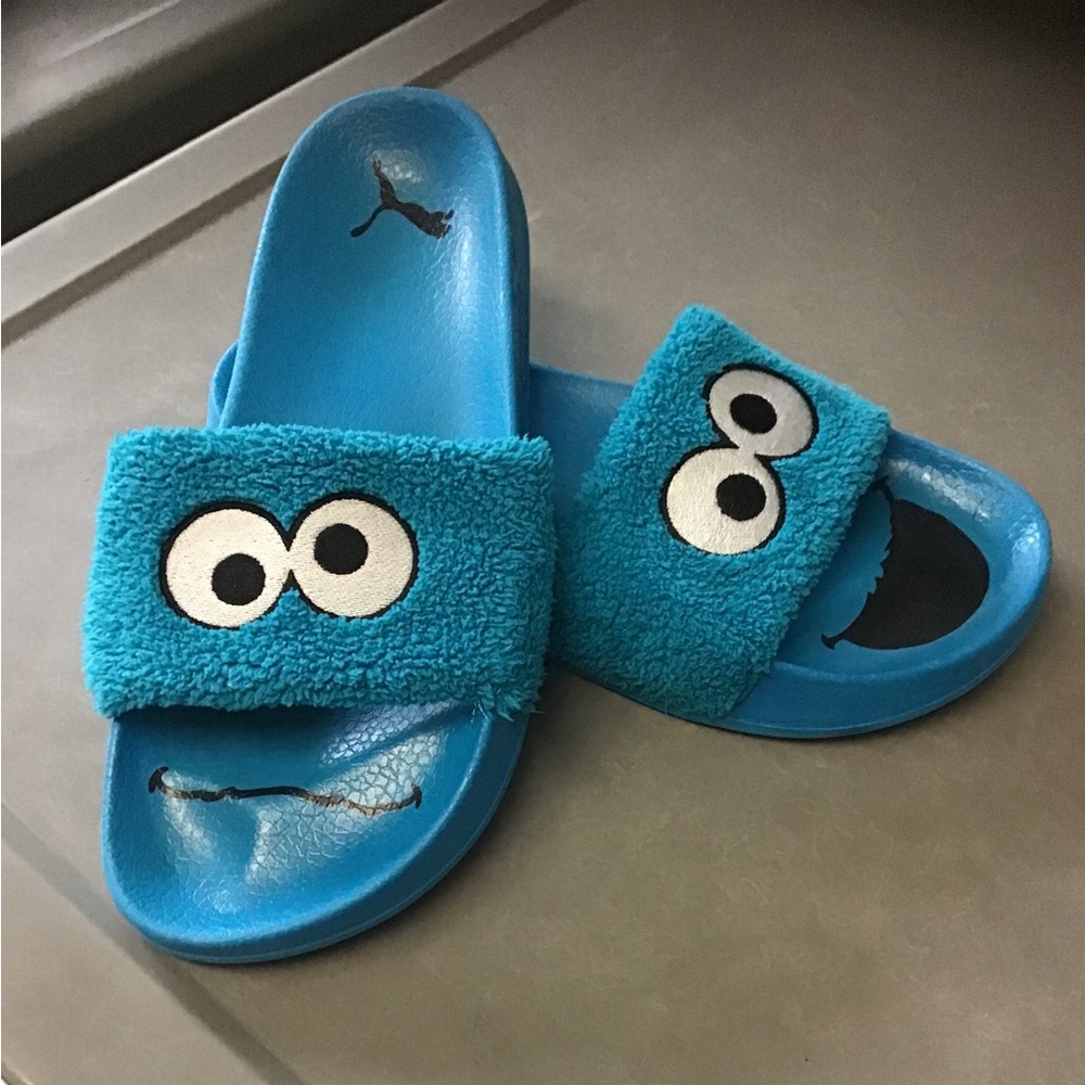 Puma slides